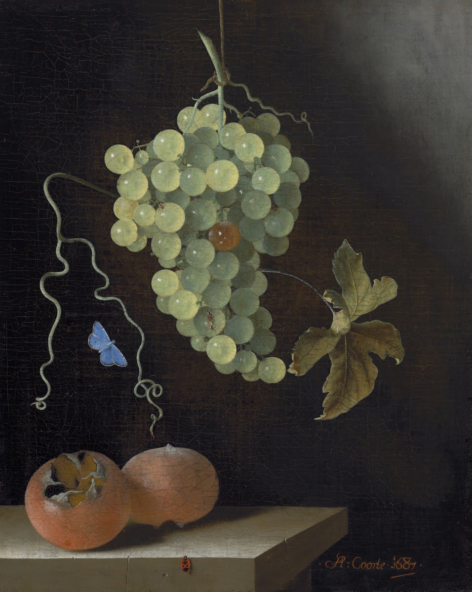 Adriaen Coorte’s still-life paintings are among the most mysterious and compelling works of art produced in the Netherlands during the 17th century. Take in the details of the recently acquired “Still Life with a Hanging Bunch of Grapes, Two Medlars, and a Butterfly” (1687).
