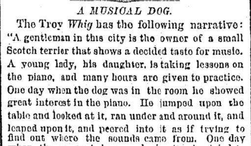 In 1876 The Times told of a Scotch terrier who enjoyed singing along to the piano.
