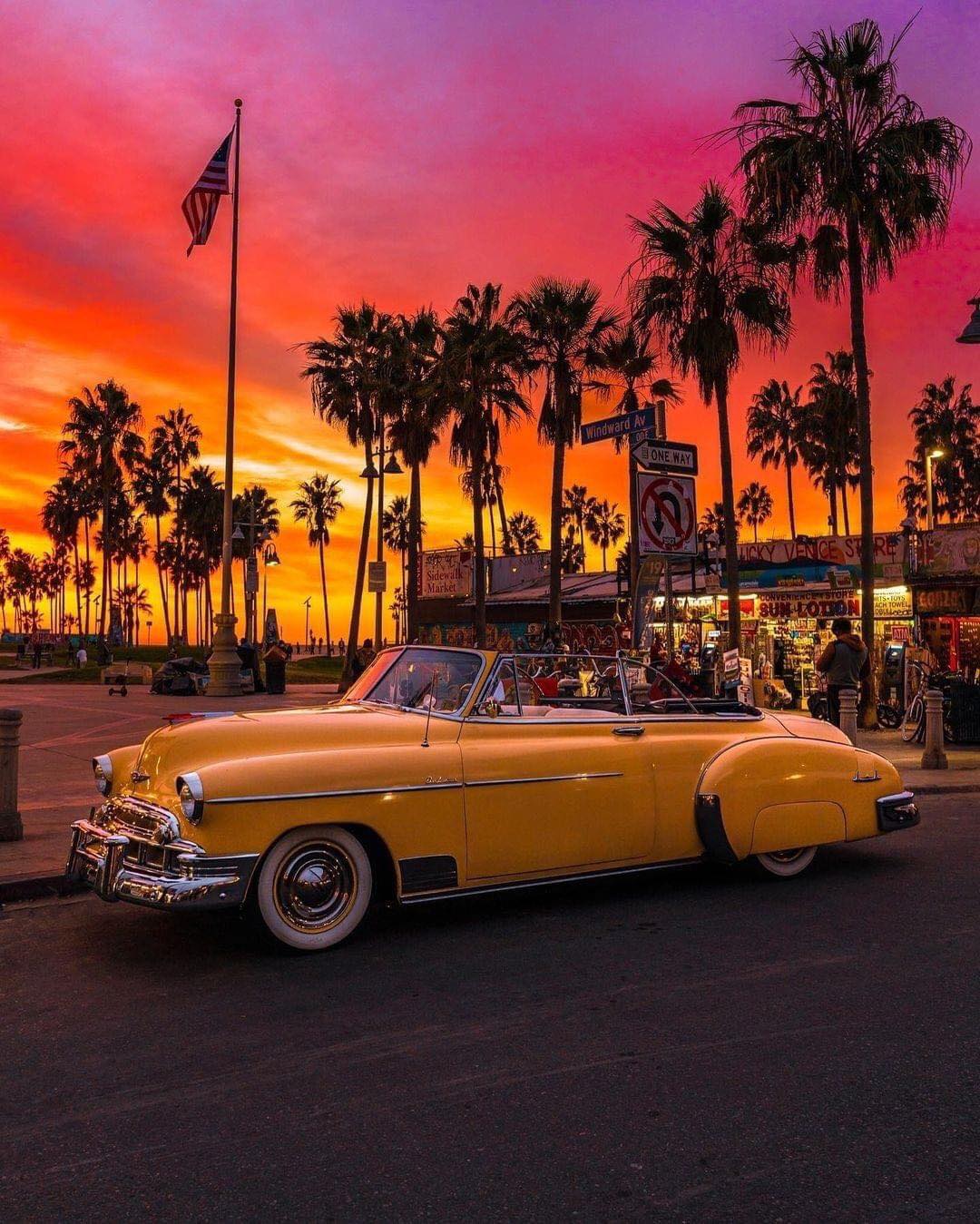 Venice Beach, California ❤️