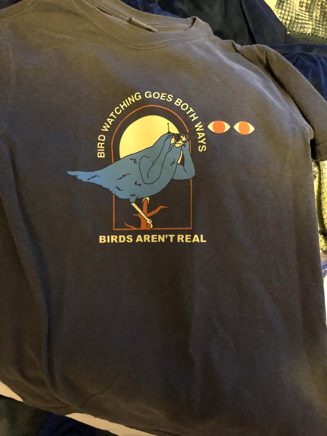 My dad got me a birds aren’t real shirt :D