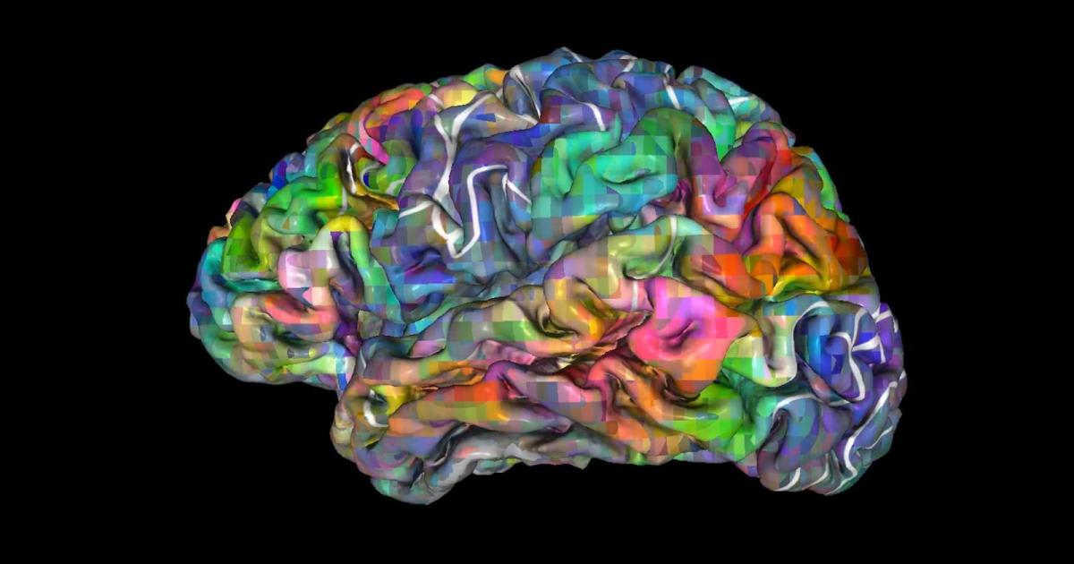Scientists say your “mind” isn’t confined to your brain, or even your body