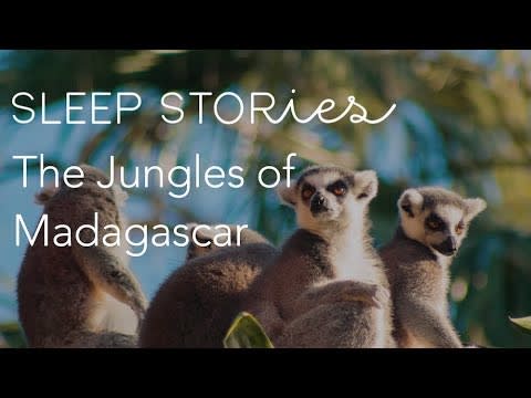 Calm Sleep Stories | The Jungles of Madagascar | Trailer