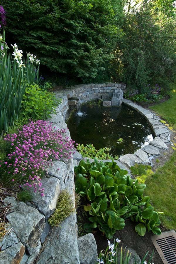 55 Visually striking pond design ideas for your backyard