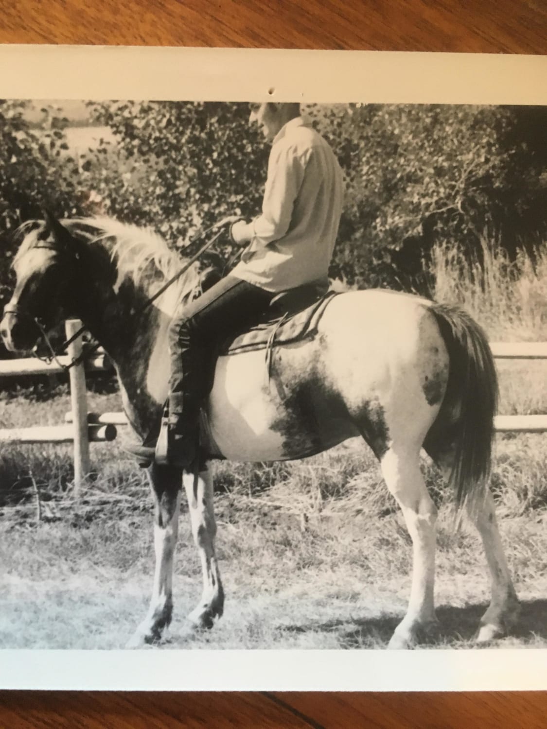 August 26, 1969. Day before our wedding. Prince, my pintaloosa pony and a teen-aged soon to be brother in law