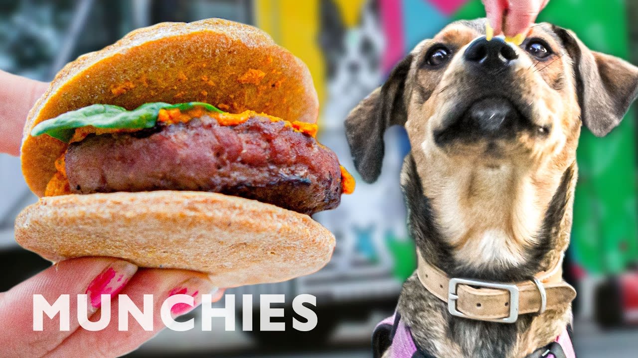 Dogs Eat Like Royalty At Woofbowl - Street Food Icons