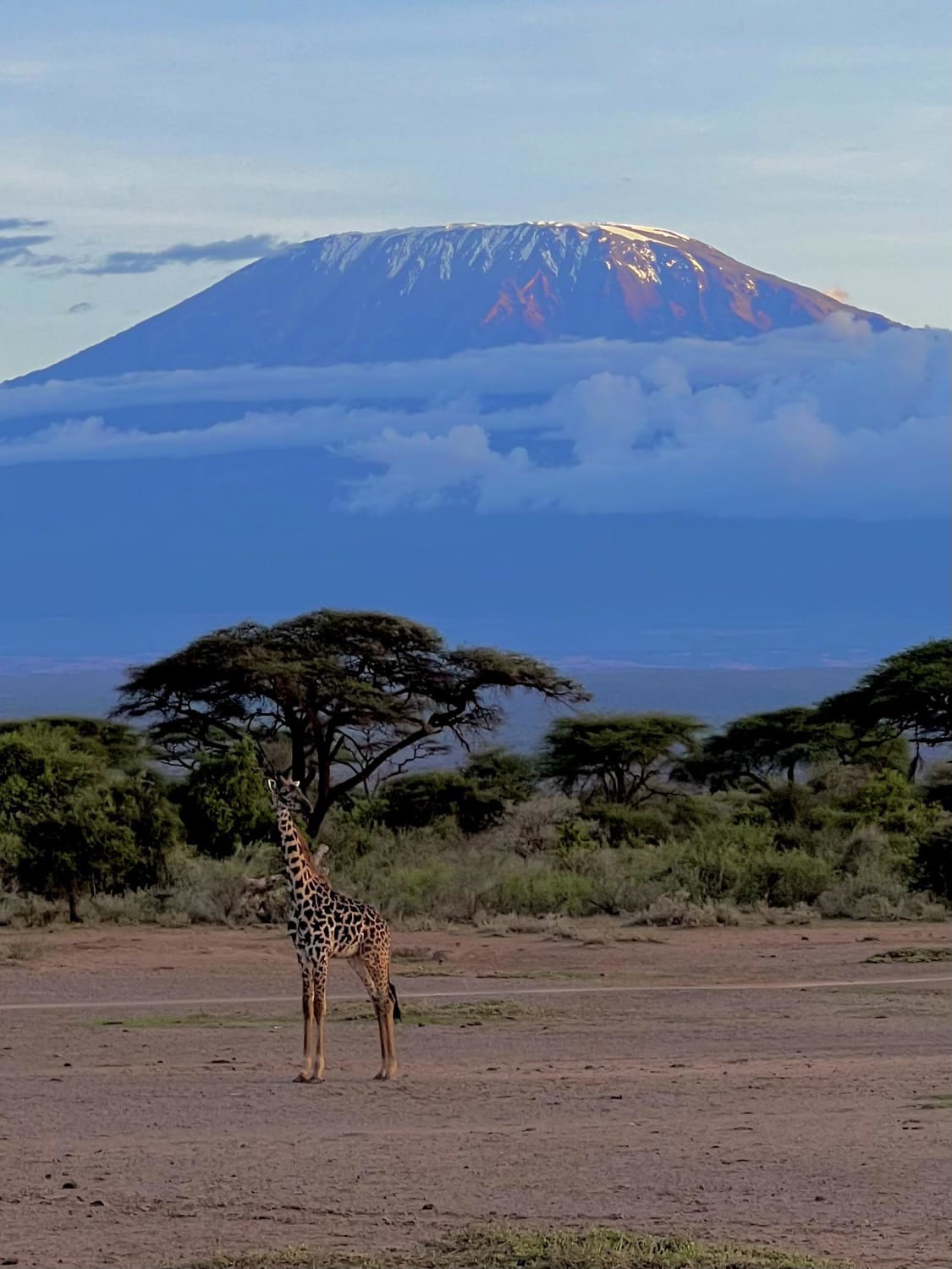 Mount Kilimanjaro in Tanzania from Amboseli National Park in Kenya
