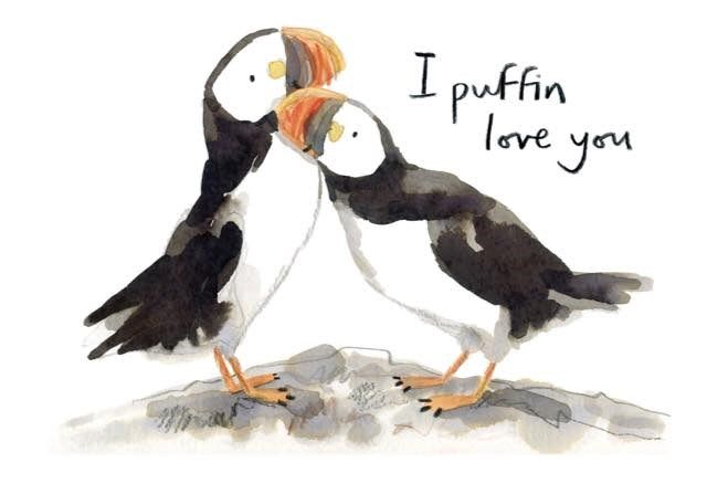 We puffin love you all! ❤️ Illustration by NEW @DirIllustration artist Gemma O'Neill @GemsONeill. Explore her portfolio here:
