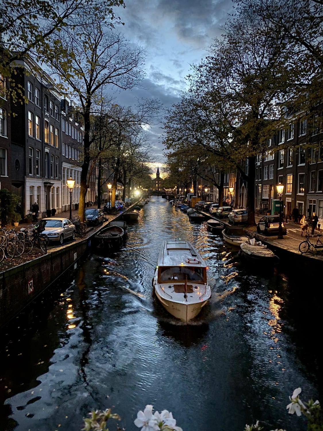 Quaint Night in Jordaan, Amsterdam