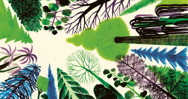 A Stunning Illustrated Celebration of the Wilderness and the Human Role in Nature Not as Conqueror but as Humble Witness