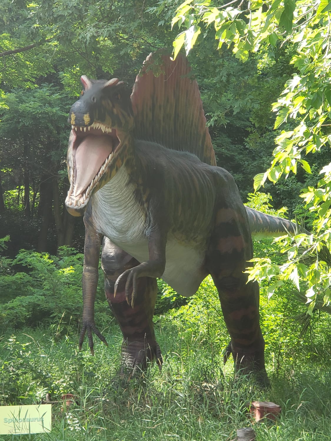 A wild Spinosaurus in the woods. It was one of the largest carnivores in Africa and mostly hunted fish in the water, but may have also eaten terrestrial prey. It even fought Cacharodontosaurus for territory as well