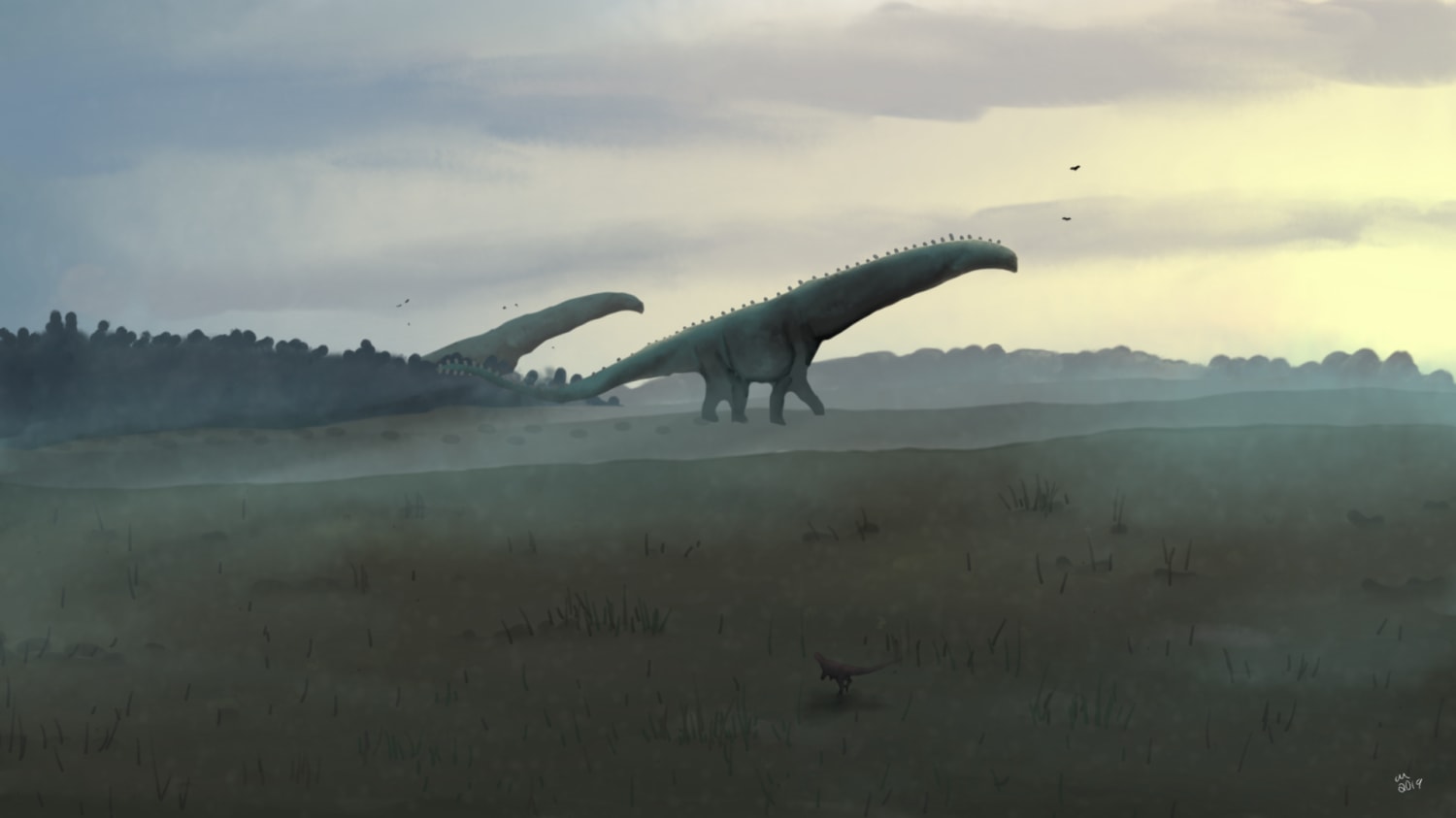It is the dawn of a new day in Argentina, 101 million years ago, and pair of Patagotitans emerge of a forest , dwarfing everything around them (art by PaleoEquii).