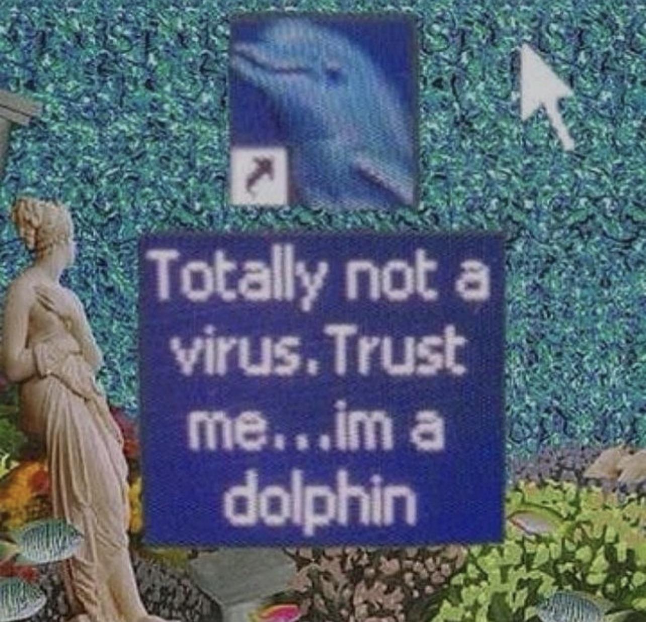 Trust the dolphin