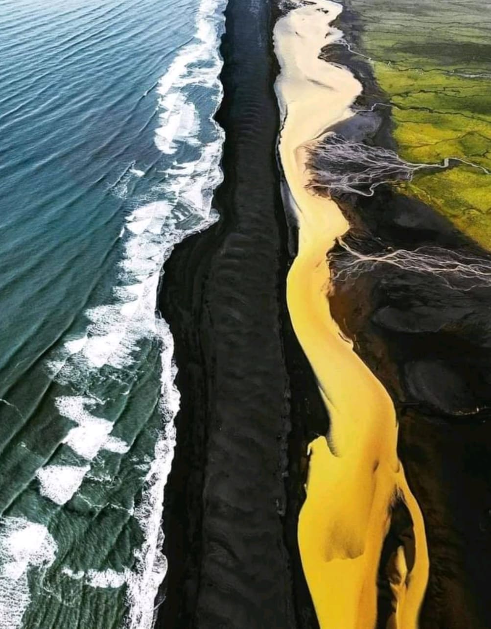 This place in Iceland where Green Fields, Yellow River, Black Beach and Blue Sea meet!