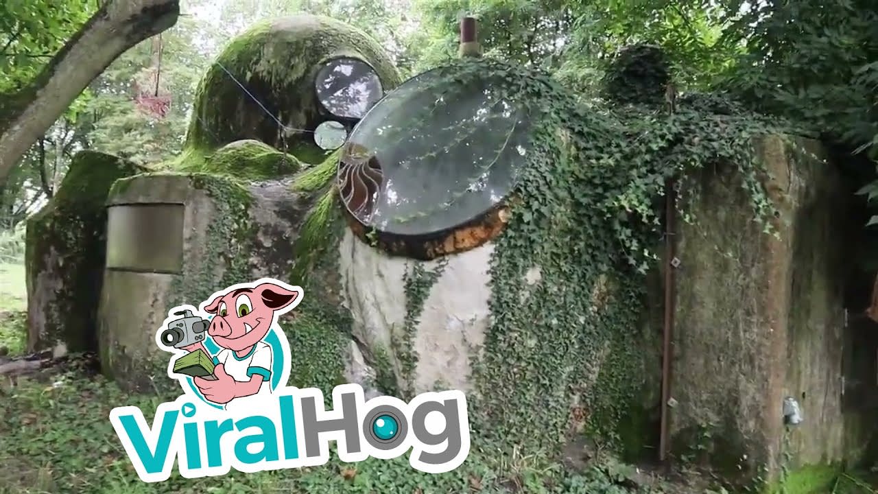 Exploring a Hobbit's House After 35 Years of Abandonment || ViralHog