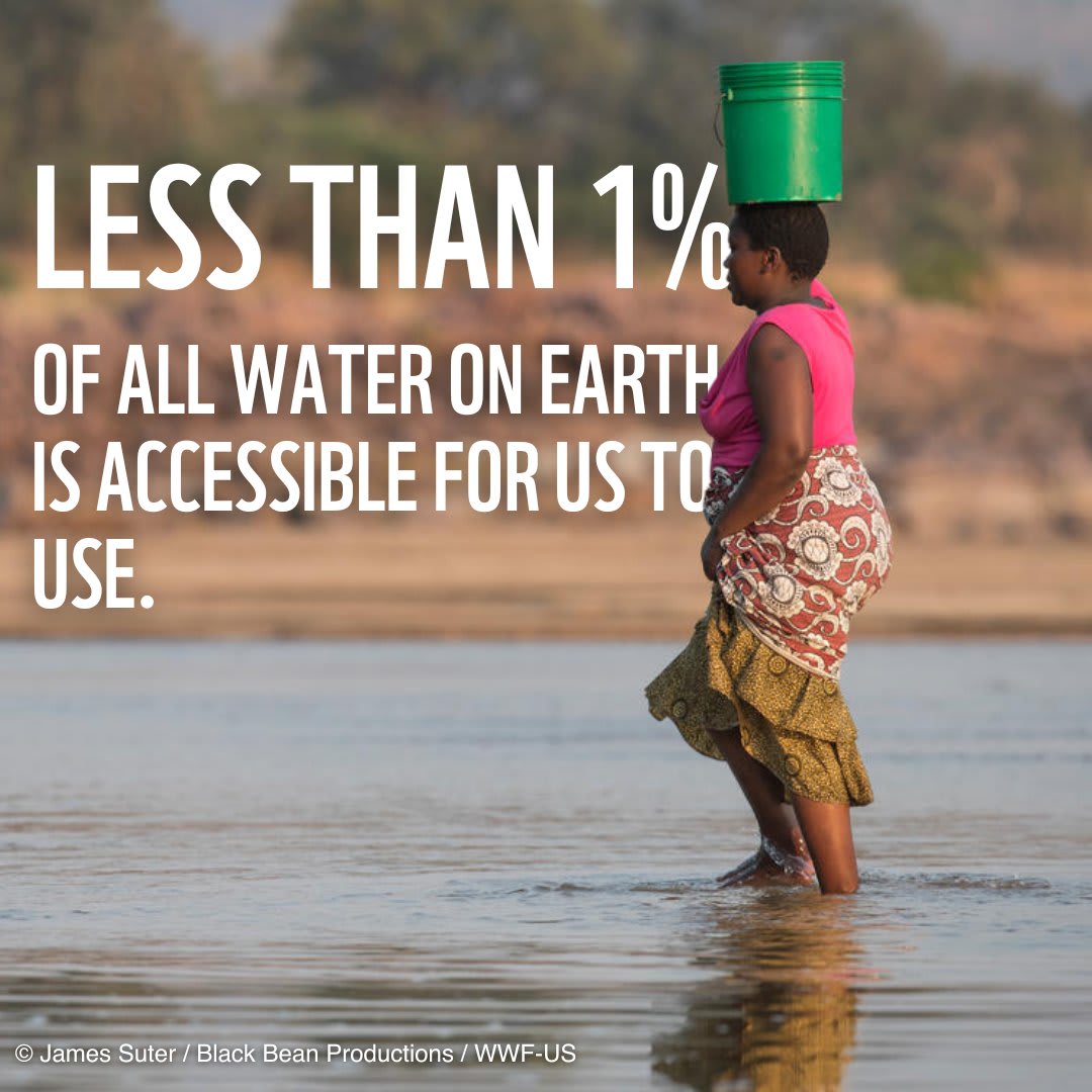 While we’re sometimes referred to as the BluePlanet, less than 1% of all the water on Earth is available for people to use 😲 Do you know how many people will face severe water shortages without urgent action?