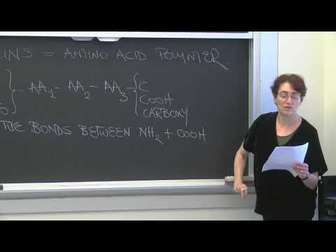 Lecture 1.6: The Molecules of Life — Protein Polarity