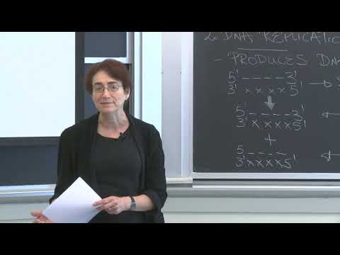 Lecture 3.2: Information Transfer in Biology — DNA Replication
