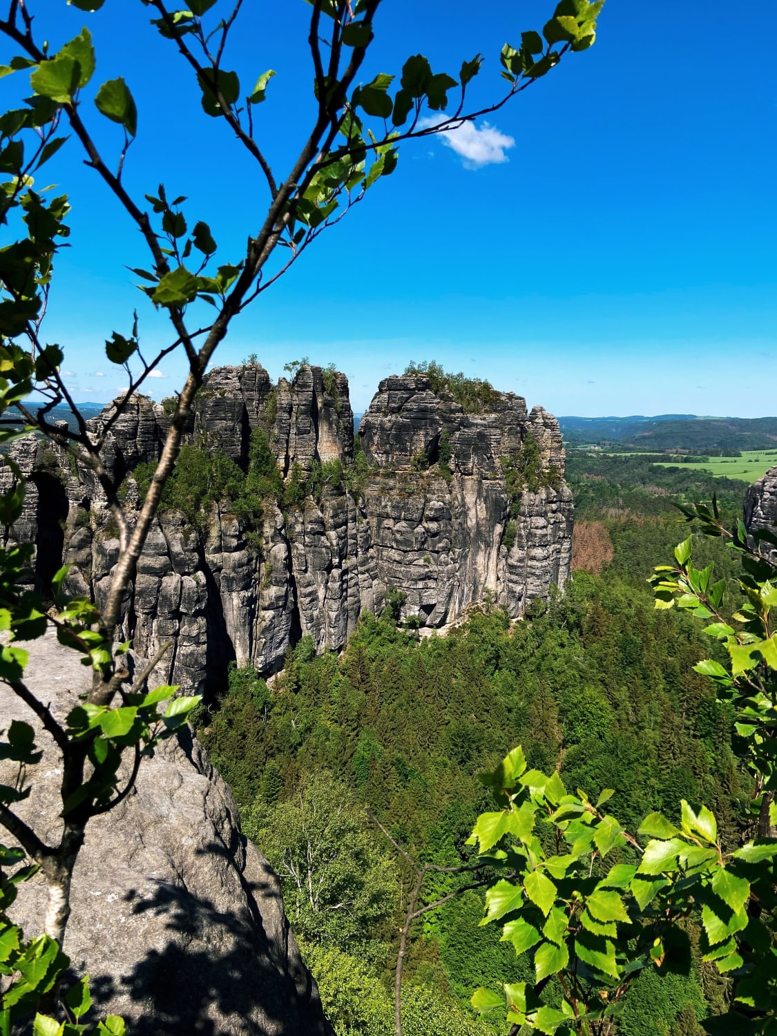 A picture from Today’s hike. Saxony Switzerland
