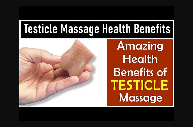 Testicle Massage Health Benefits Amazing Health Benefits Of Testicle