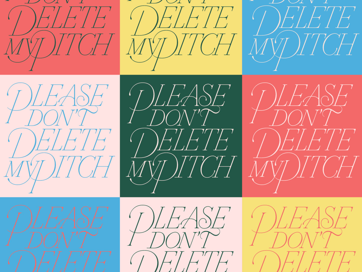 Please Don't Delete My Pitch by Reshma Solanki