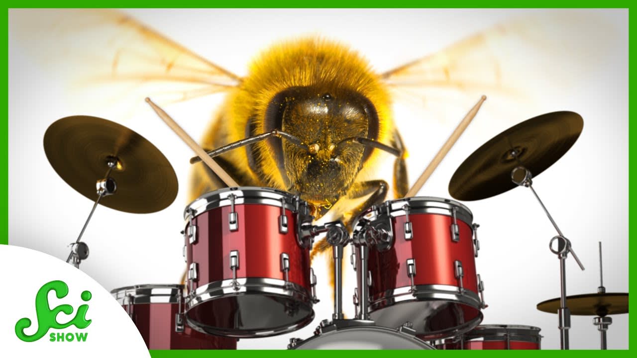 Why These Baby Bees Love Jam Sessions