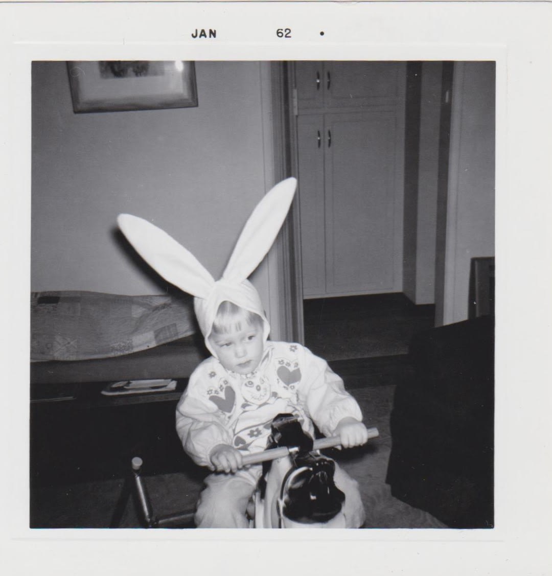 A bunny rabbit riding a pony, January 1962