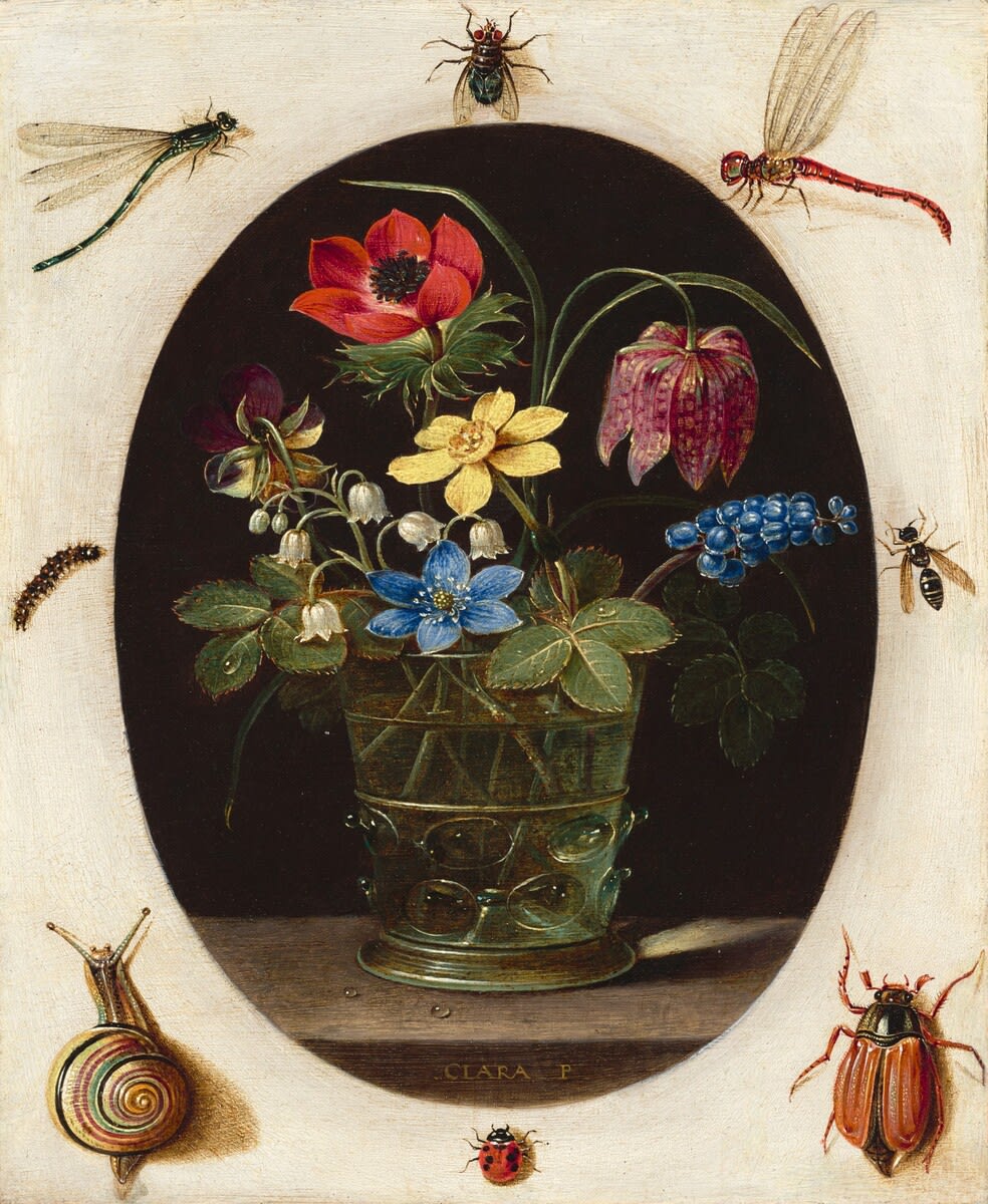Thank you @WomenInTheArts! Sending back a MuseumBouquet by Ruysch's near contemporary, Clara Peeters, in honor of 5WomenArtists. [Clara Peeters, "Still Life with Flowers Surrounded by Insects and a Snail," c. 1615/1618, oil on copper ]