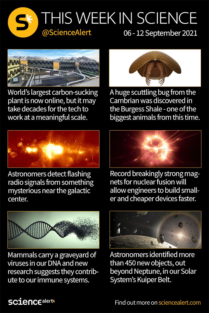 Here's what happened this week in science! Links to stories: Carbon plant https://t.co/JGtCp5HT4c Cambrian bug https://t.co/D6GMfPUc57 Galactic signals https://t.co/ywuL3njHJc Magnets https://t.co/UqHbgee3uF Fossils https://t.co/nB90pGrQN6 Objects