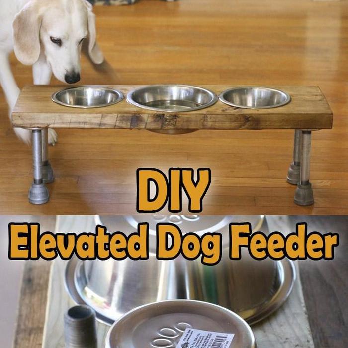 Mix Diy How To Make An Elevated Dog Feeder Quiet Corner