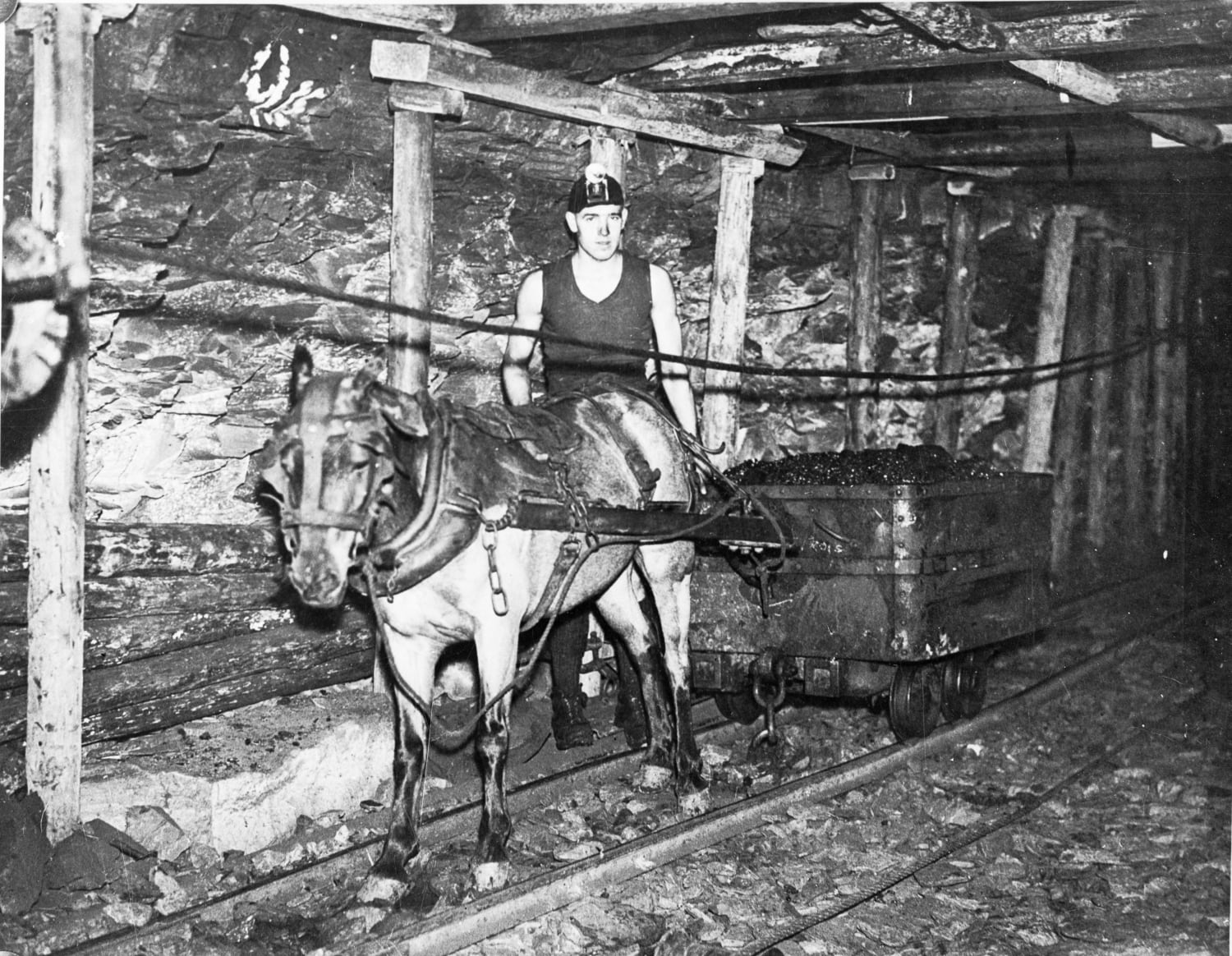 Pit pony and tub (cart) driver in an underground coal mine, England, 1800s [4..259]