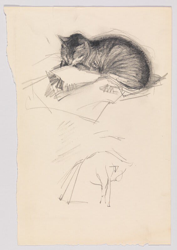 Who naps better than cats? Celebrating NationalNappingDay with Edward Hopper's Study of a Sleeping Cat (1895–99).