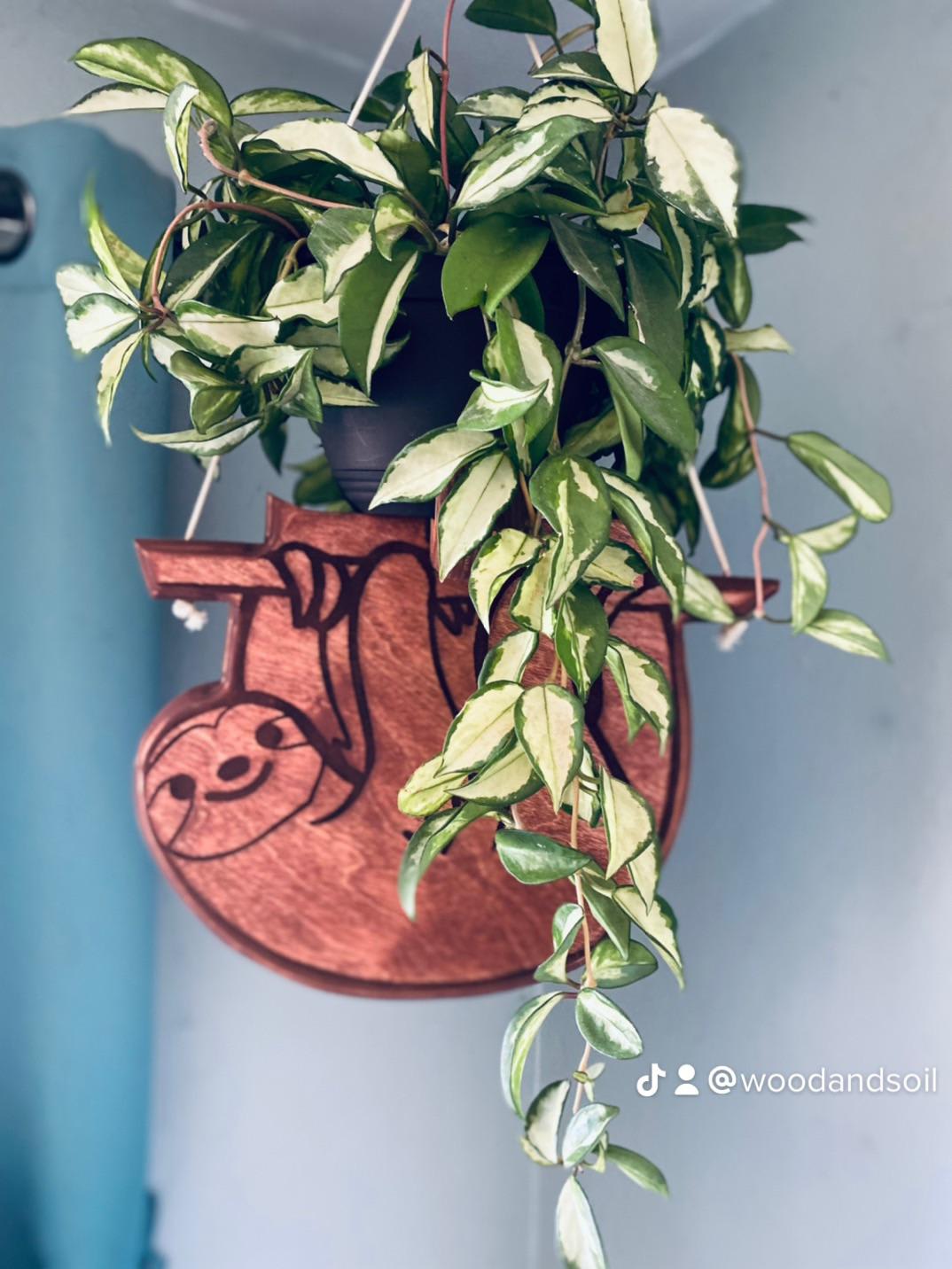 A sloth in your house plants makes total sense