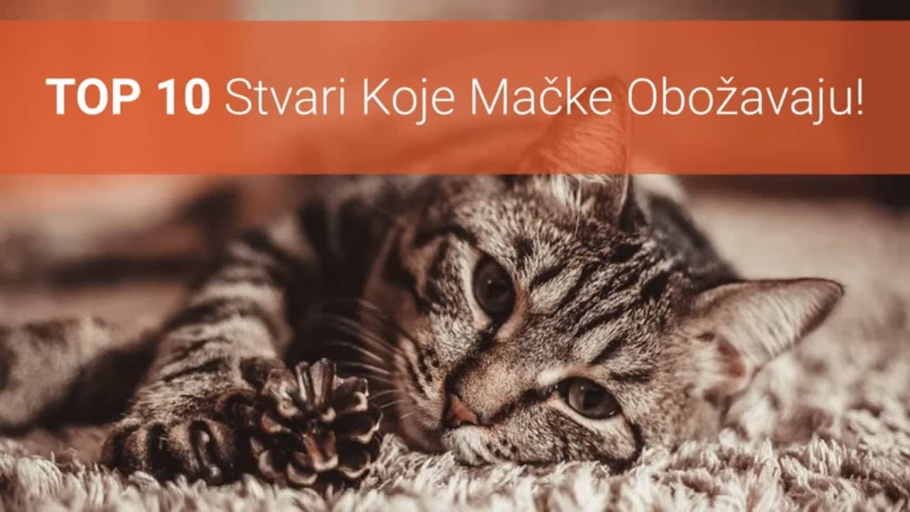 ženska mokra maca najstariji gay porno film