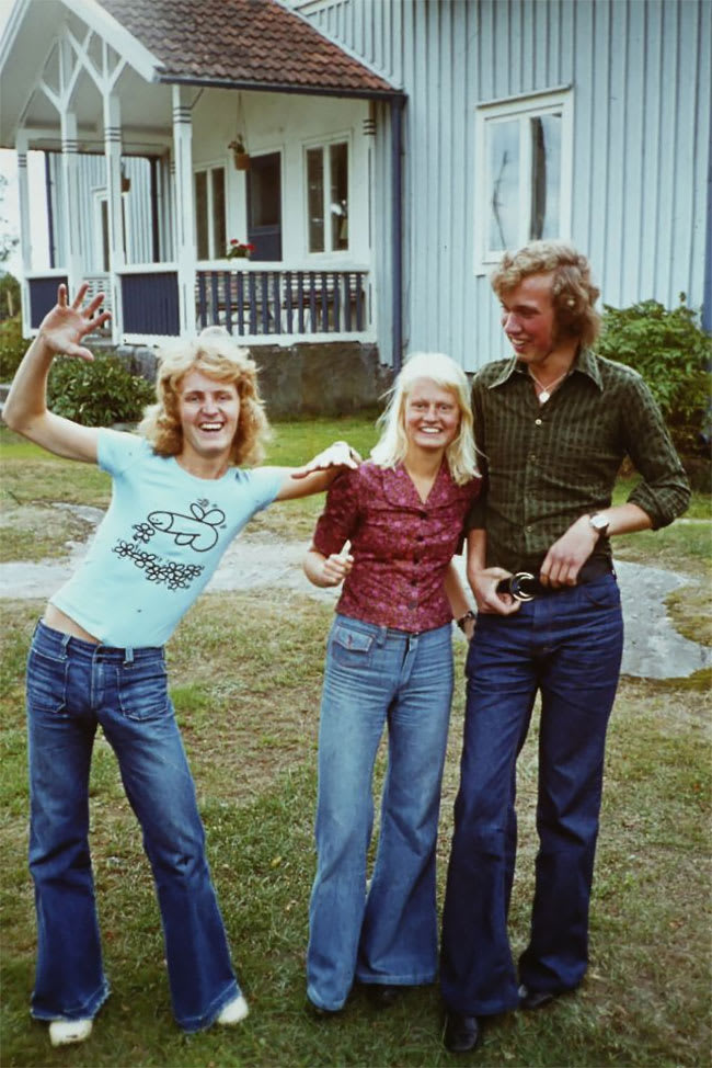 Sweden in the 1970s - what kind of insect is that on that shirt?