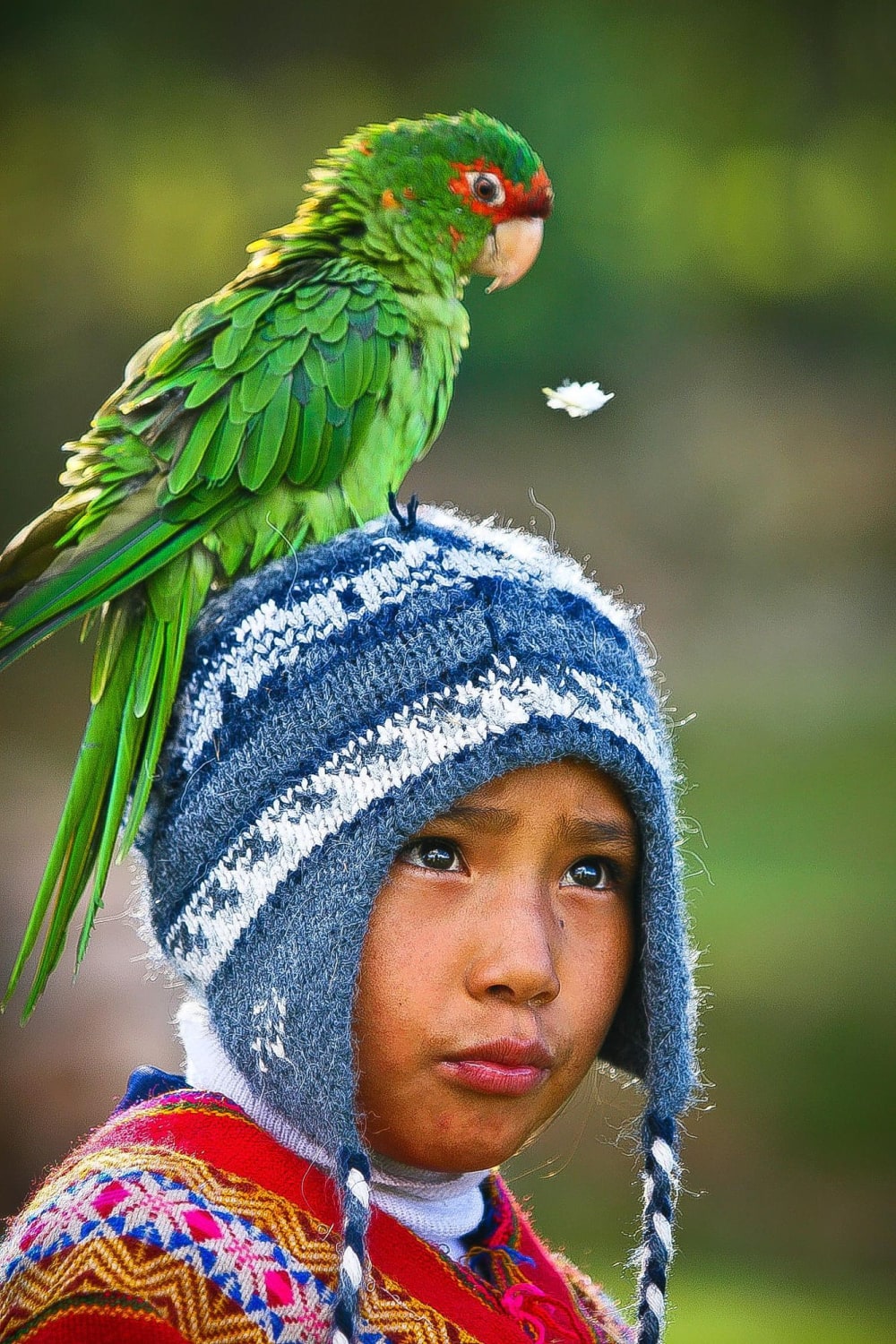 Peruvian Child and Parrot por Eyebeam Photography | Kids around the world, Animals for kids, Pets