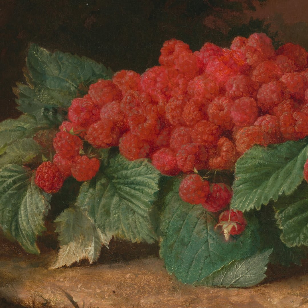 Prepare to fall in love with the intricate details of Lilly Martin Spencer’s unbelievably realistic still-life  Lilly Martin Spencer, “Raspberries,” 1859, oil on canvas,in., Gift of William and Abigail Gerdts