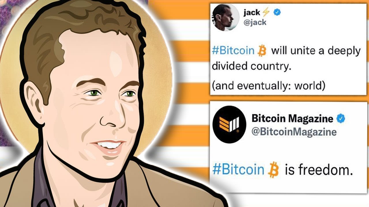 The Cringe Libertarian World of Crypto Bros - Simps for Elon Musk who think they’re Saving the World
