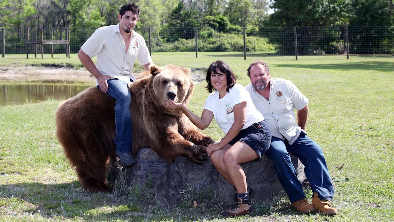 Family Live With 13 Bears In Their Backyard