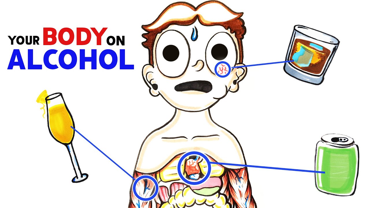 How Alcohol Changes Your Body