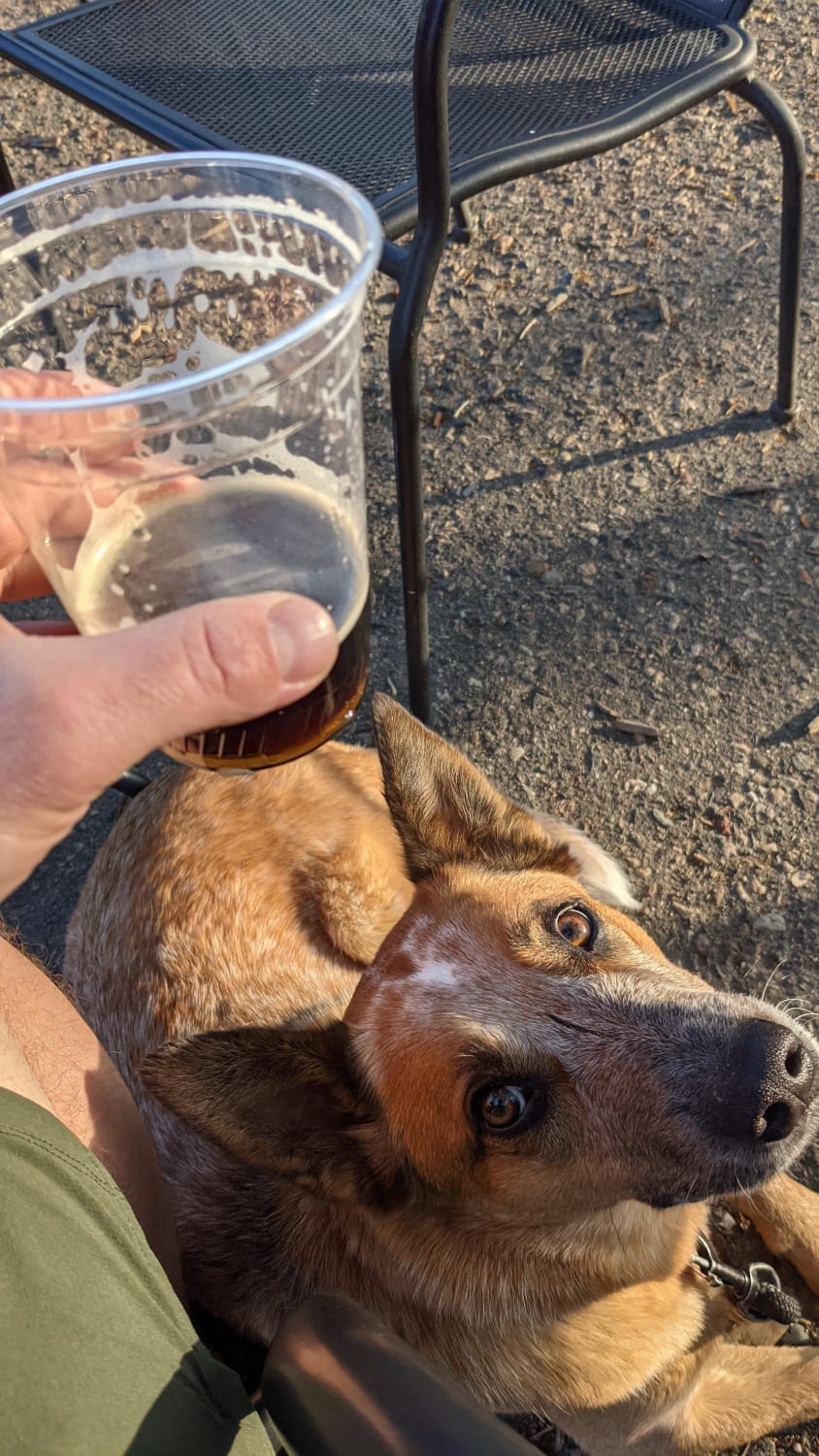 I got to this brewery a little late on a Sunday, not having seen their post that they closed early for the day. I got my stuff on the patio, with my dog and tried walking inside. One of the workers on the patio said they were closed, but then offered me his second beer. What a bro.