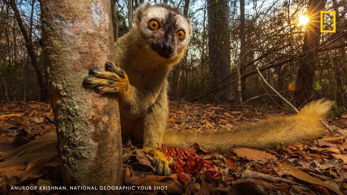 Take in a viewing of the best photos of the week from our YourShot community.