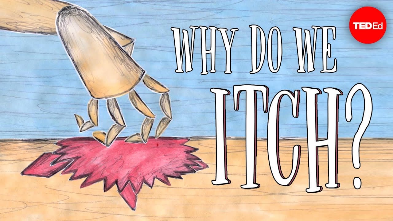 Why do we itch? - Emma Bryce
