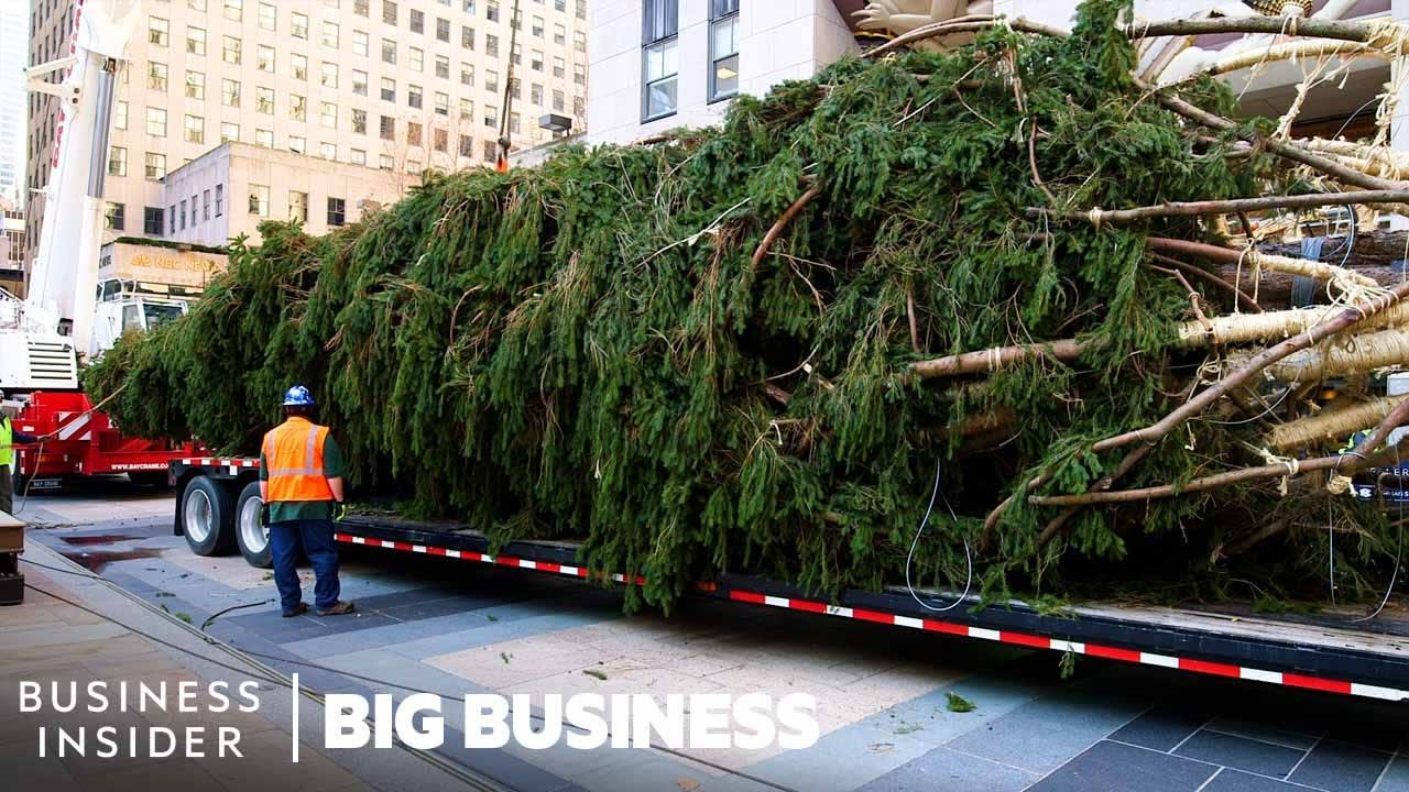 How The 75-Foot Rockefeller Christmas Tree Makes It To NYC | Big Business