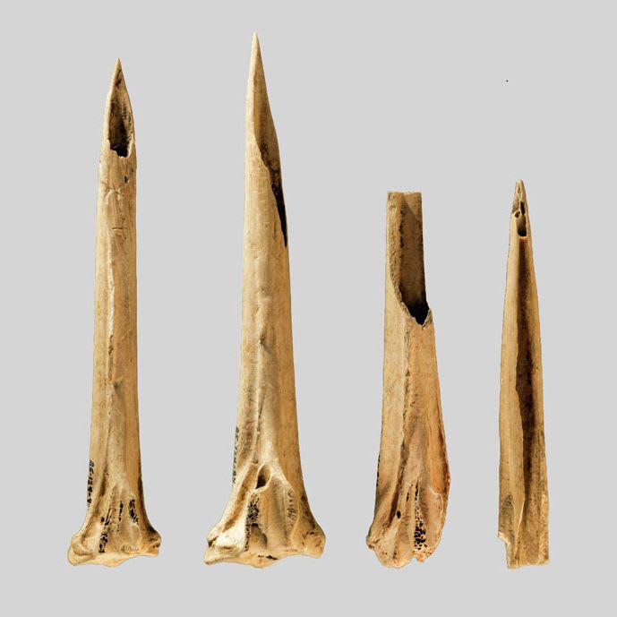 😮 These could be the oldest known tattooing tools! ✏️ They're made from turkey bones from as far back as 3500 BCE. Tattooed ancient American remains date back to over 5,000 years ago, suggesting the practice was rather common. 📷 Deter-Wolf et al, J Archaeol Sci Rep, 2021