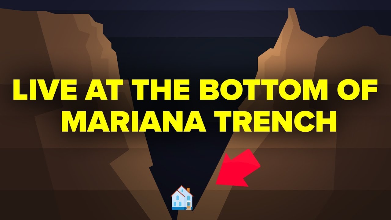 Could You Live At The Bottom Of The Mariana Trench?