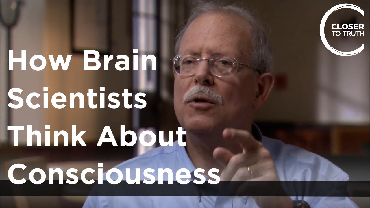Eran Zaidel - How Brain Scientists Think about Consciousness