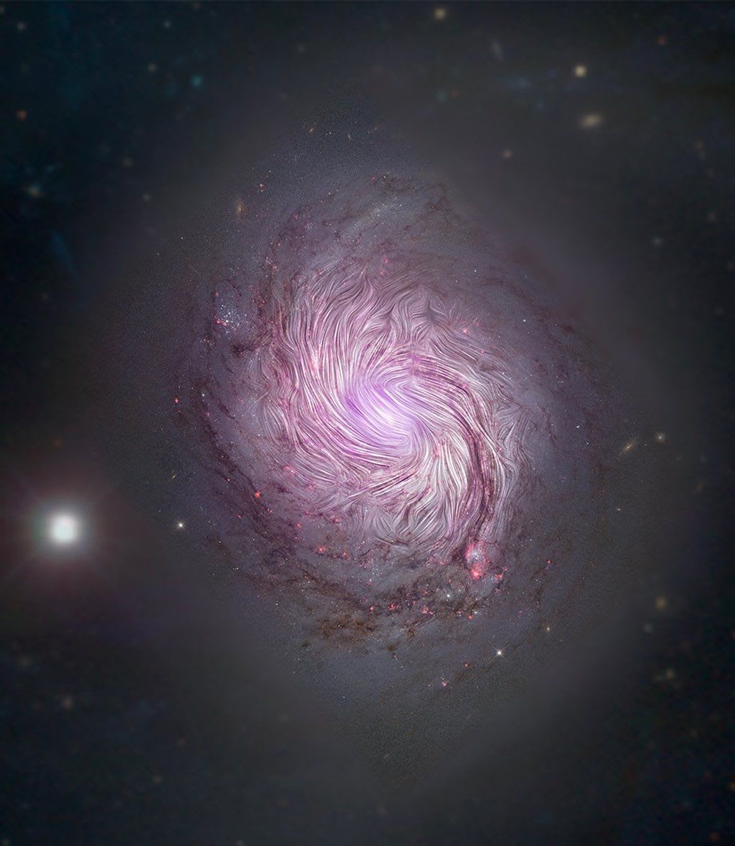 😍 Far-infrared light reveals magnetic fields in galaxy NGC 1068, aligning along the entire 24,000 light years of length of its massive spiral arms - suggesting gravitational forces that created the galaxy’s shape are also compressing its magnetic field. 📸 :