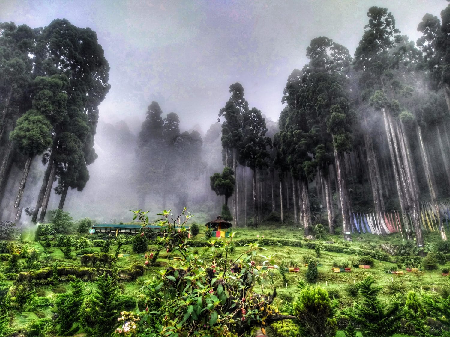 A chilly morning in Darjeeling, West Bengal, India during the Monsoon season
