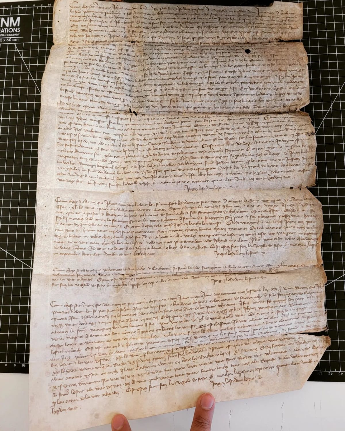 A medieval manuscript on parchment, dated 1378, written during the reign of Pope Urban VI. The oldest non-religious manuscript I've acquired so far.