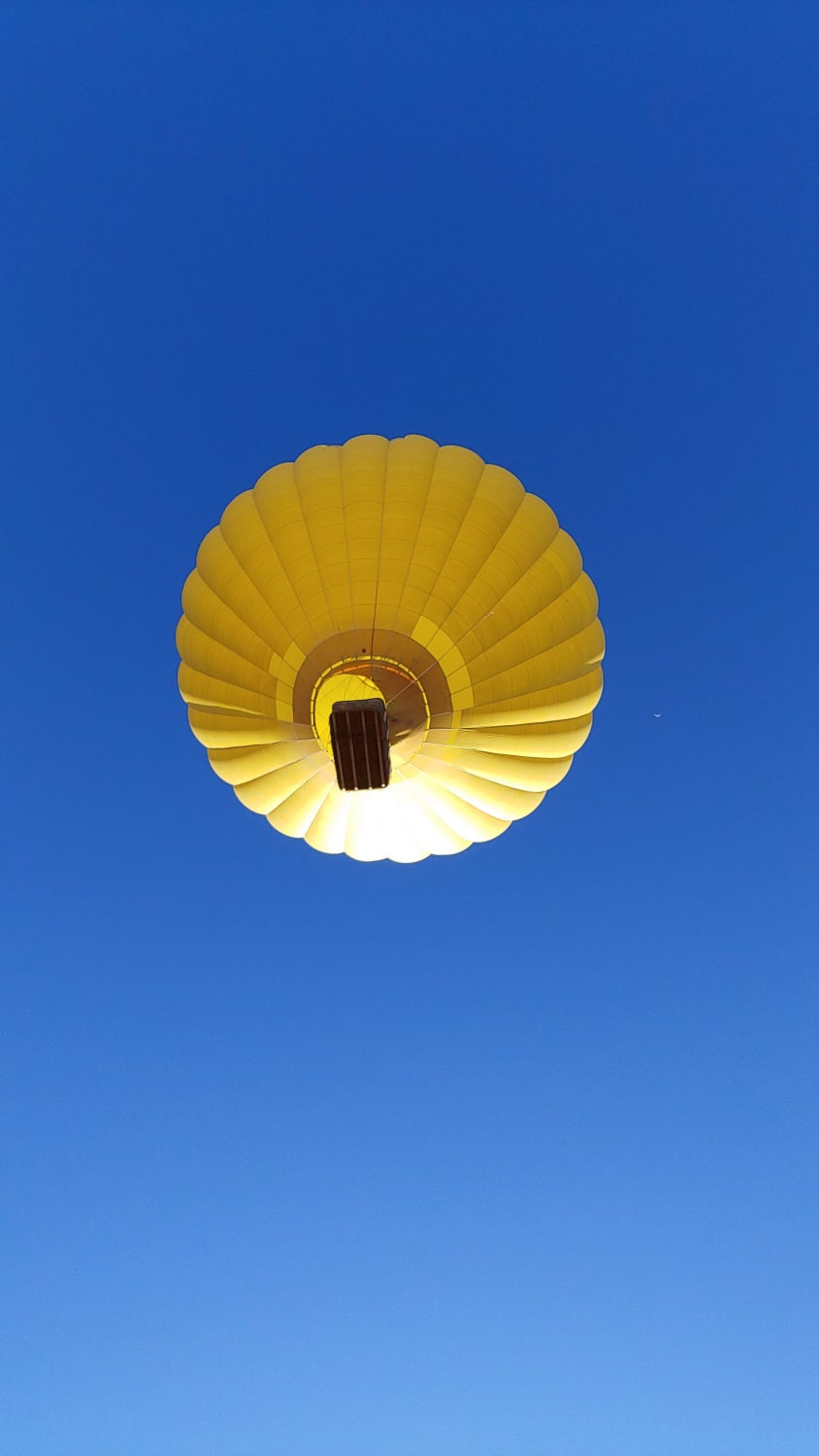 Shot I got of a hot-air balloon in Taos NM